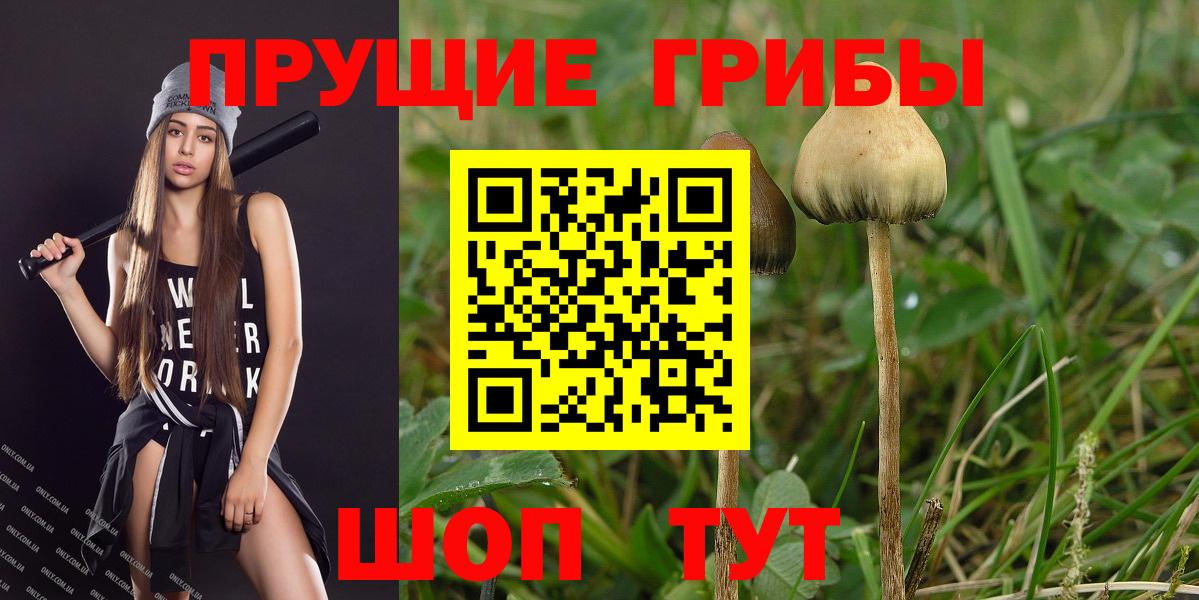 Галлюциногенные грибы Magic Shrooms  Вход с VPN  Боровичи 