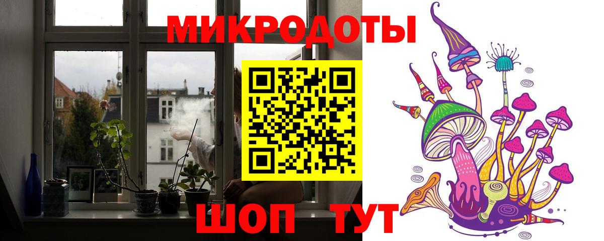 Галлюциногенные грибы Psilocybe Боровичи
